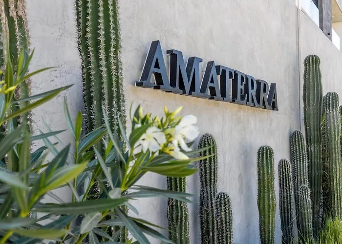 Endless Summer - Award Winning 2bed 2bath - Heated Rooftop Pool With Ocean Views - Gym - 5min Walk To - Fiber Internet - Sleeps 6 * Cabo San Lucas